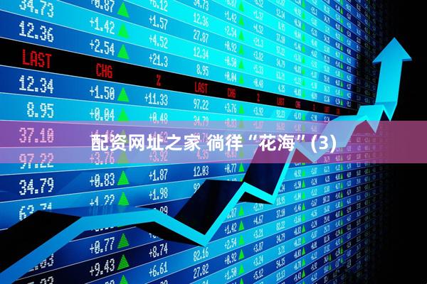 配资网址之家 徜徉“花海”(3)